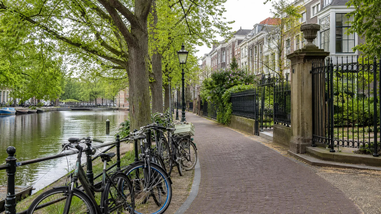 Fietsen langs een rustige Haarlemse waterkant met gevels en bomen