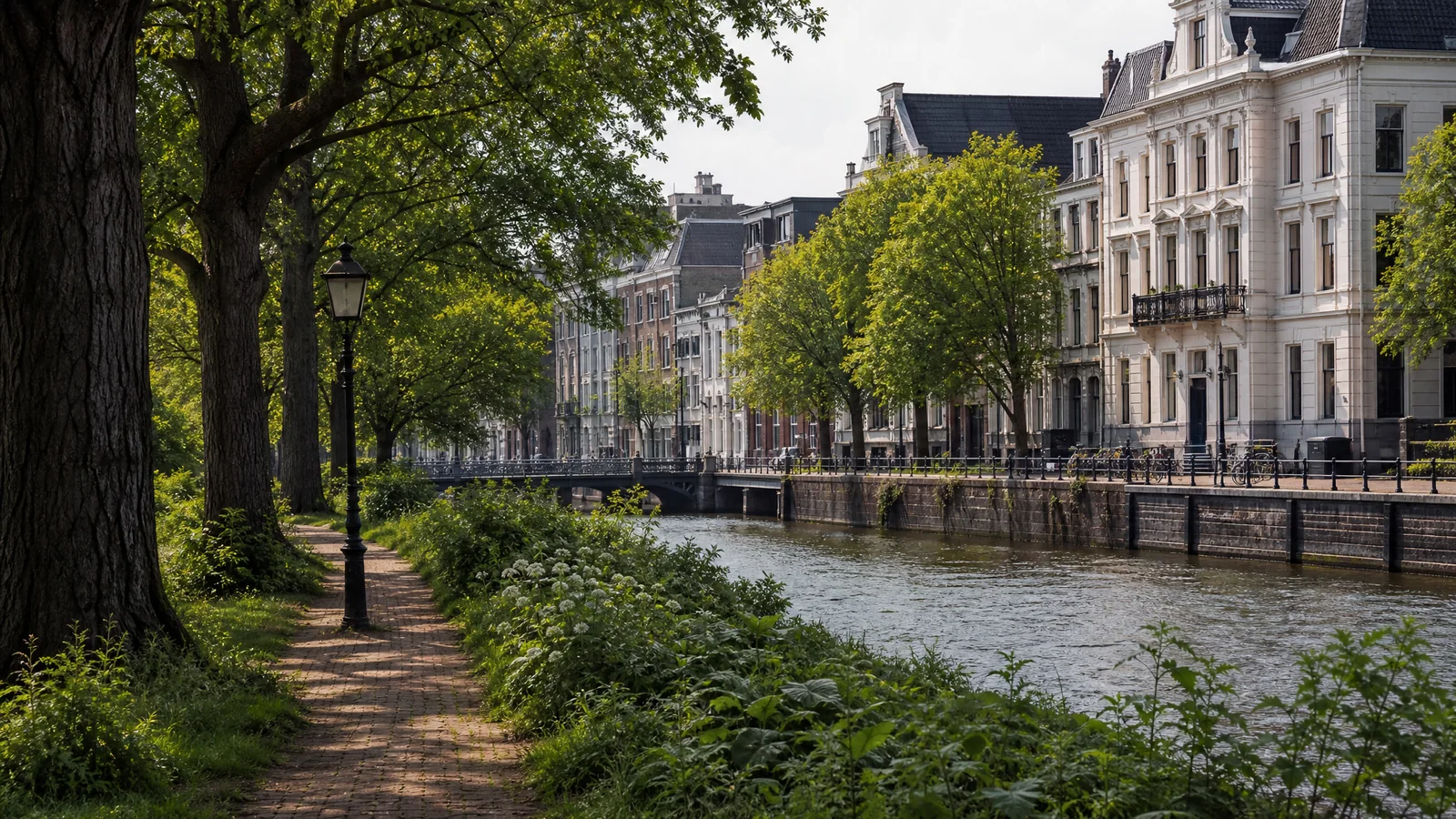 Rustig Haarlems redactiebeeld bij Houtplein met stadsrand, bomen en oversteekruimte