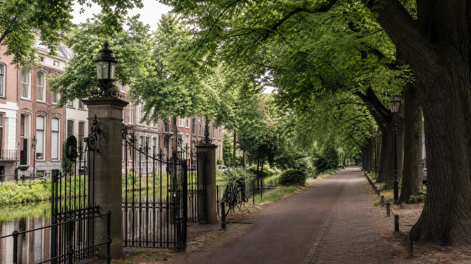 Calm Haarlem-inspired editorial image with a waterline, trees and a green canal path without people or text