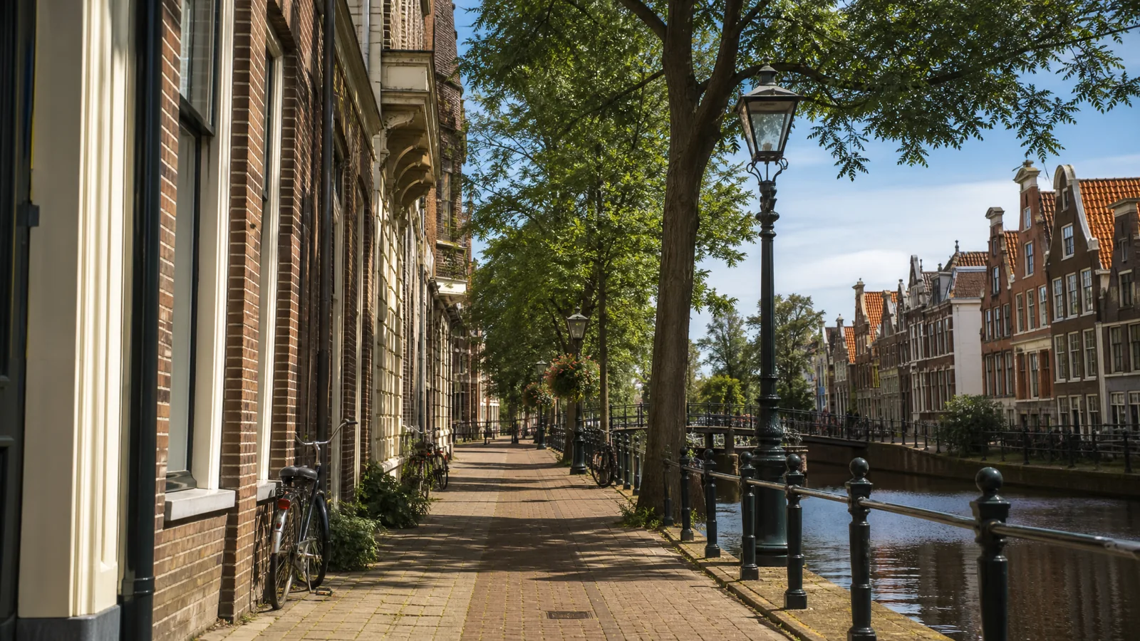 realistische kaartachtige visual van water, riet en stadsrandvormen zonder mensen, dieren of productbeeld