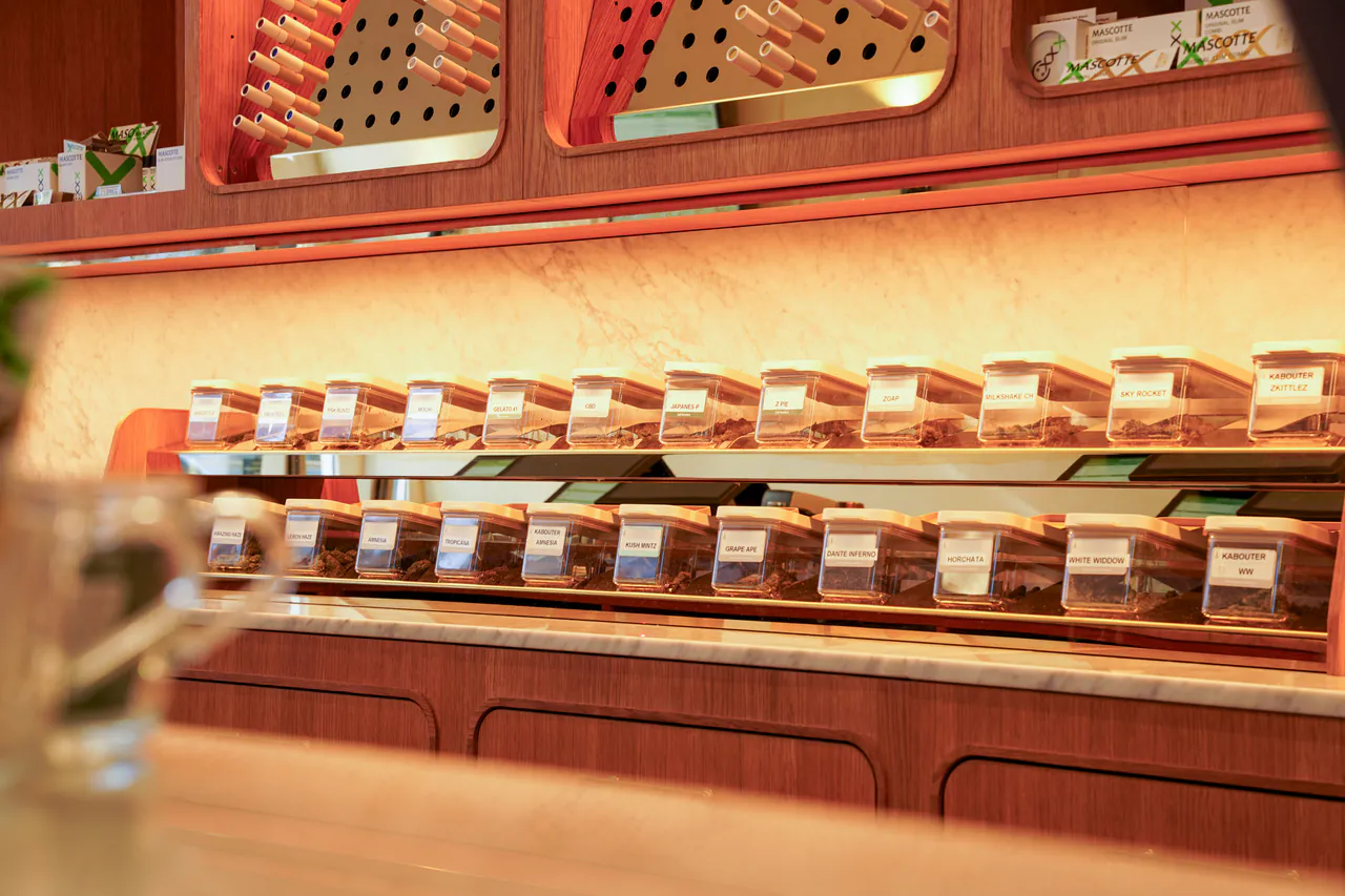 Balie en warme houten inrichting van Boerejongens Haarlem